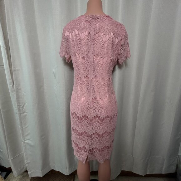 Preston & York Felecia Short Sleeve Lace Sheath Dress Women's Size 12 Pink NWT - Picture 3 of 12